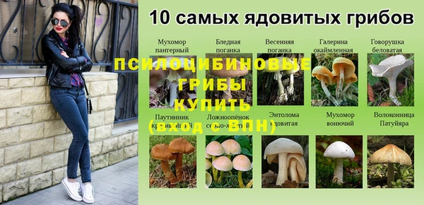 гашиш Бородино