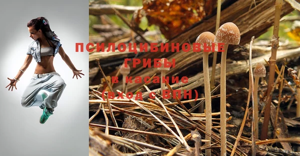 сатива Бугульма