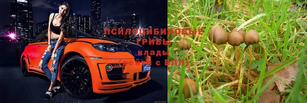 марки nbome Верхний Тагил