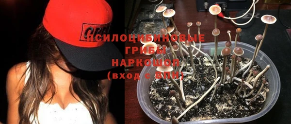 сатива Бугульма