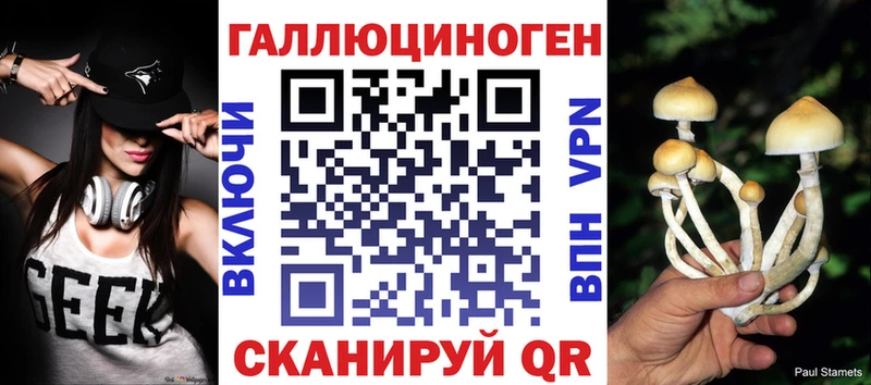 Галлюциногенные грибы MAGIC MUSHROOMS  дарк нет наркотические препараты  Карасук 